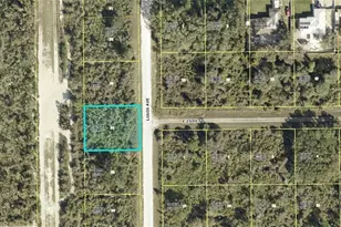 2805 Louis Ave, Alva, FL 33920 - Photo 1