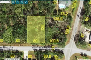 14374 Marlin Ave, Port Charlotte, FL 33953 - Photo 1