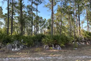 927 Kanuga St E, Lehigh Acres, FL 33974 - Photo 1