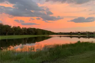 20309 Black Tree Ln, Estero, FL 33928 - Photo 1