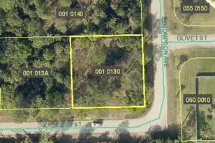 1207 E 8th St, Lehigh Acres, FL 33972 - Photo 1