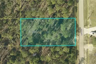 1205 Leroy Ave, Lehigh Acres, FL 33972 - Photo 1