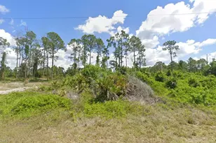 755 Pinecastle Dr, Lehigh Acres, FL 33974 - Photo 1