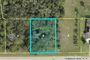 613 Charles Sise St, Lehigh Acres, FL 33974 - Photo 1