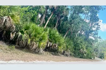 Xxxx Jung Blvd E, Naples, FL 34120 - Photo 1