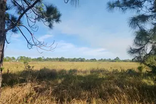 13532 Dancy Ave, Clewiston, FL 33440 - Photo 1