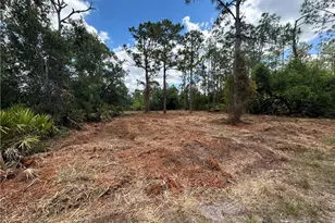 27242 Mandarin Dr, Punta Gorda, FL 33955 - Photo 1