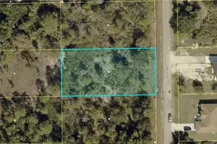 315 Scott Ave, Lehigh Acres, FL 33936 - Photo 1