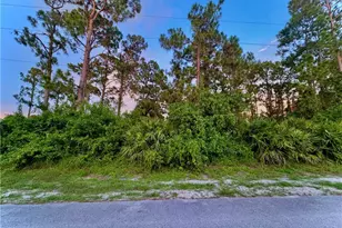 511 Redwood Ave S, Lehigh Acres, FL 33974 - Photo 1