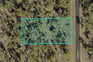 103 Irving Ave, Lehigh Acres, FL 33936 - Photo 1