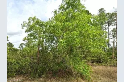 1247 Edna St E, Lehigh Acres, FL 33974 - Photo 1