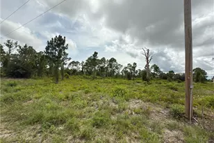 1044 Mansion Ave S, Lehigh Acres, FL 33974 - Photo 1