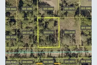 1145 Rosita St E, Lehigh Acres, FL 33974 - Photo 1