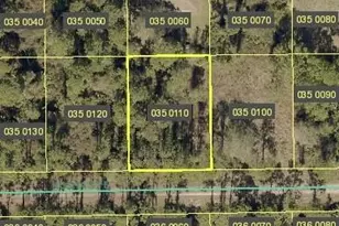 1145 Rosita St E, Lehigh Acres, FL 33974 - Photo 1