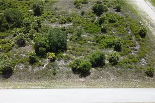 949 Norton Ave S, Lehigh Acres, FL 33974 - Photo 1