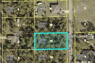 1111 Palmetto Ave, Lehigh Acres, FL 33972 - Photo 1