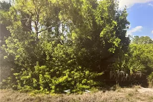 875 Haskell St E, Lehigh Acres, FL 33974 - Photo 1