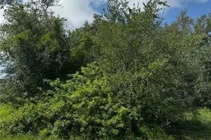 2905 39th St SW, Lehigh Acres, FL 33976 - Photo 1