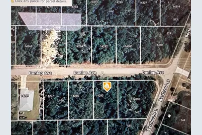 14293 Dunlap Ave, Port Charlotte, FL 33953 - Photo 1