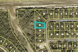 1959 Walcott Loop, Lehigh Acres, FL 33972 - Photo 1