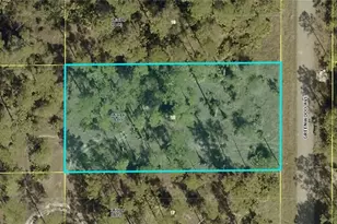 1311 Greenwood Ave, Lehigh Acres, FL 33972 - Photo 1