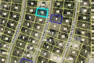 715 Clemwood Ave S, Lehigh Acres, FL 33974 - Photo 1