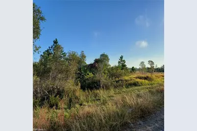 917 Clarissa St, Lehigh Acres, FL 33974 - Photo 1