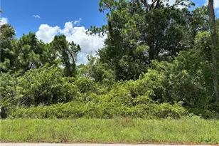 648 Naples Ave S, Lehigh Acres, FL 33974 - Photo 1