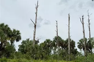 2905 Hanna Ave N, Lehigh Acres, FL 33971 - Photo 1