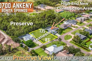 10700 Ankeny Ln, Bonita Springs, FL 34135 - Photo 1