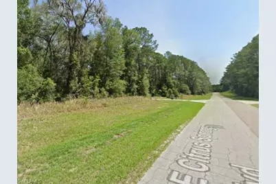 8698 N Alameda Dr, Citrus Springs, FL 34434 - Photo 1