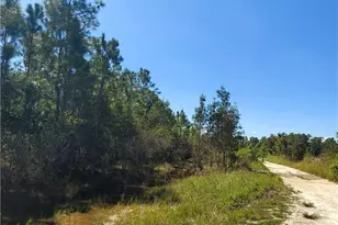 2087 West Dearborn Circle, Alva, FL 33920 - Photo 1