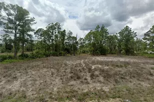 401 Fitch Ave, Lehigh Acres, FL 33972 - Photo 1