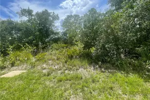 3487 Mentone St, Punta Gorda, FL 33980 - Photo 1