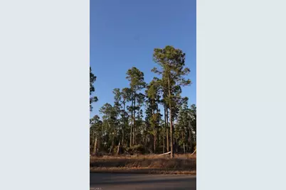 1109 Florence St E, Lehigh Acres, FL 33974 - Photo 1