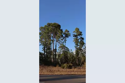 1107 Florence St E, Lehigh Acres, FL 33974 - Photo 1