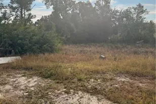 2709 27th St SW, Lehigh Acres, FL 33976 - Photo 1