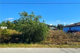 743 Homer Ave S, Lehigh Acres, FL 33973 - Photo 1