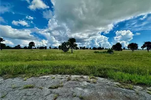 14 Or 16 Birch Ct, Placida, FL 33946 - Photo 1