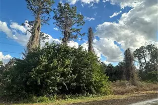 1924 Miriam St, Lehigh Acres, FL 33972 - Photo 1