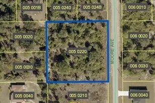 1221 Moore Ave, Lehigh Acres, FL 33972 - Photo 1