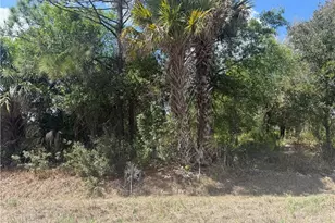 5905 Sally Ave N, Lehigh Acres, FL 33971 - Photo 1