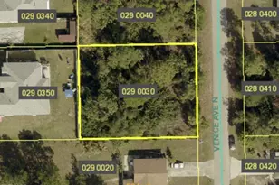1905 Venice Ave N, Lehigh Acres, FL 33971 - Photo 1