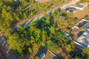1519 Maple Ave N, Lehigh Acres, FL 33972 - Photo 1
