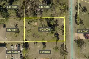 1203 Elaine Ave N, Lehigh Acres, FL 33971 - Photo 1
