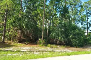 3281 15th Ave SW, Naples, FL 34117 - Photo 1