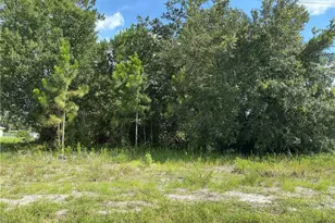3013 45th St SW, Lehigh Acres, FL 33976 - Photo 1