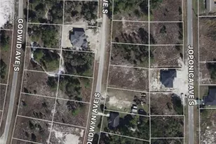 708 Goldwyn Ave S, Lehigh Acres, FL 33974 - Photo 1