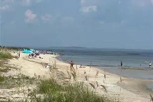 239 Beach City Rd, Hilton Head Island, SC 29926 - Photo 13