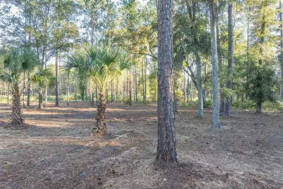 88 Lupine Road, Bluffton, SC 29910 - Photo 25
